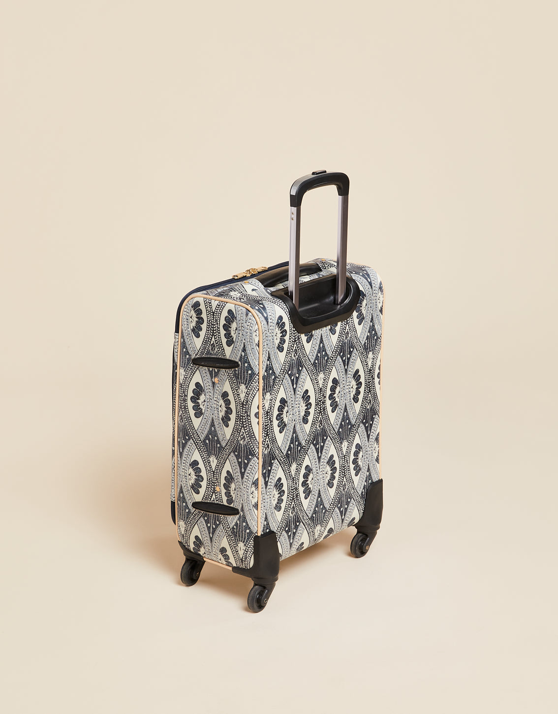 20" Expandable Rolling Suitcase Ashley River